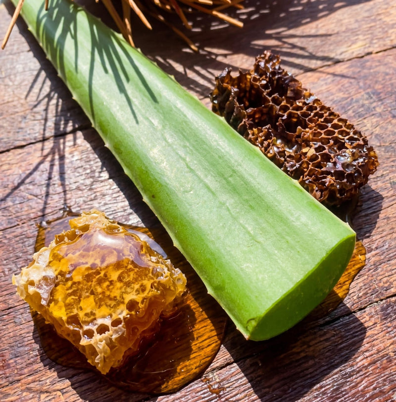 Ritual Mayan Honey & Aloe Vera
