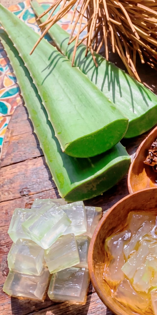 Ritual Mayan Honey & Aloe Vera